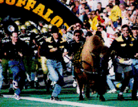 Colorado Ralphie III