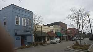 Columbia Historic District, Main Street