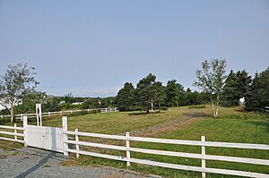 ConceptionBaySouth UpperGulliesCemetery