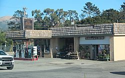 Gas station in Corral de Tierra