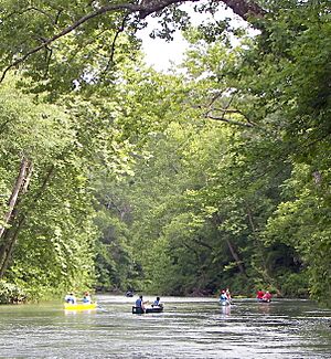 Current River MO 2009-06-15 n65 below Welch Spring crop2
