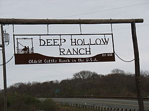 Deep-hollow-sign
