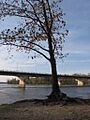 Drummondville-bridge