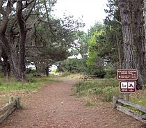 Ecological Staircase trail