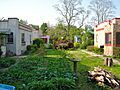 Elm Court Urbana