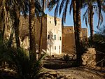 Ghadames - Altstadt mit Palmenhain.jpg