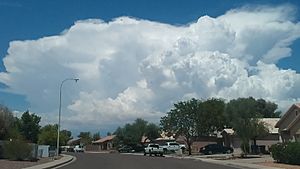 Incoming monsoon clouds over Arizona