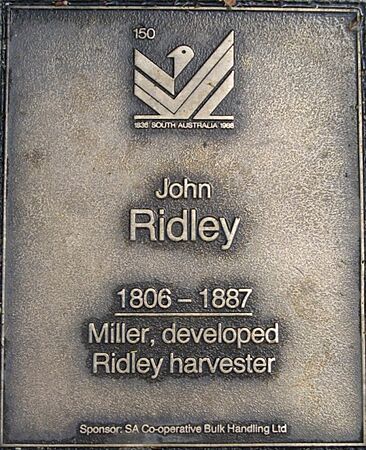 J150W-Ridley
