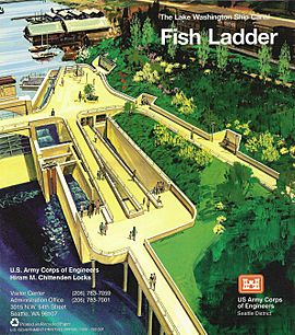 Lake Washington Ship Canal Fish Ladder pamphlet 01