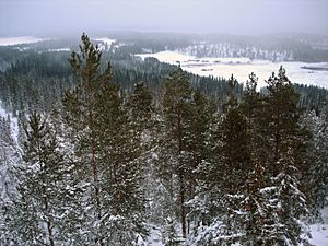 Landscape of Korpilahti