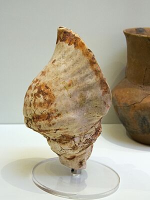 Marine ritual triton. Phaistos, 3600–3000 BC, AMH, 144493