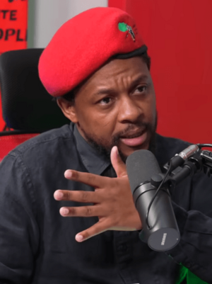 Mbuyiseni Ndlozi, April 2024 (cropped).png