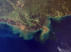 Mississippi River Delta and Sediment Plume