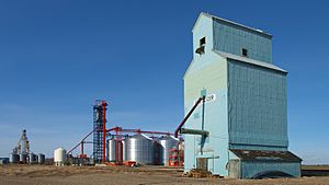 Nampa Alberta Grain Elevator (10290116723).jpg