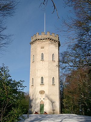 Nelson's Tower, Cluny Hill, Forres - geograph.org.uk - 1720070