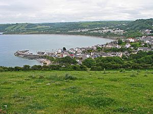New Quay-panorama