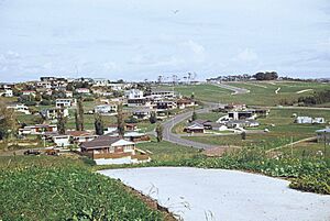 New housing, Half Moon Bay, Pakuranga, 1973 (cropped)