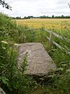 Ogham stone by side of lane, Ballyboodan, Knocktopher, Co. Kilkenny - geograph.org.uk - 206902.jpg