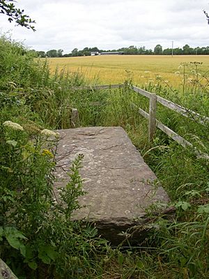 Ogham stone by side of lane, Ballyboodan, Knocktopher, Co. Kilkenny - geograph.org.uk - 206902.jpg