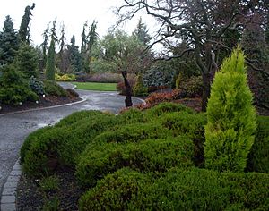 Oregon Garden conifer entrance 2007-12-23 15-04-03 0038