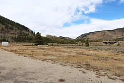 Pando, Colorado