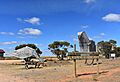 Patchewollock Big Mallee Fowl 003