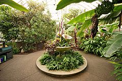 Phipps Conservatory Spice Room