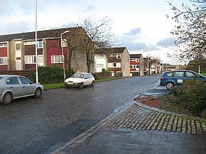 Pine Road, Abronhill - geograph.org.uk - 1567034