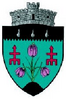 Coat of arms of Frătăuții Noi