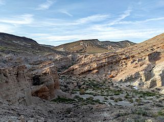 Red Rock Canyon State Park (47945216296)
