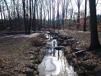 Picture of Shellpot Creek at Tarleton Park