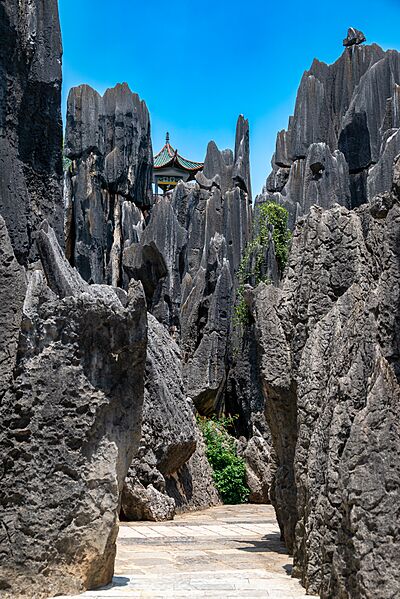 Shilin, Yunnan 24692