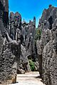 Shilin, Yunnan 24692