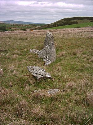Stone row, Corick