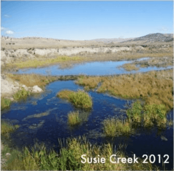 Susie Creek 2012 BLM.png