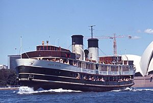Sydney Ferry SOUTH STEYNE 30 Dec 1970.jpg