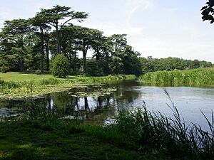 Tern seen from the Weir - geograph.org.uk - 26738