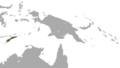 Timor Shrew area