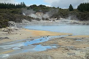 View across the hot lakes in Hell's Gate thermal area