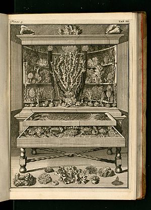 Vincent, Levinus (1715) Wondertooneel der natuur -Tome 2- 0295