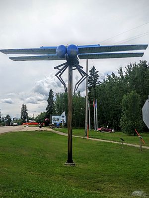 Dragonfly sculpture in Wabamun