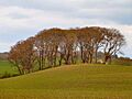 Wren's Egg and Nest, bronze age cists, Blairbuy Farm