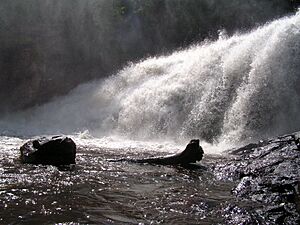 Au pied de la chute - Marc Large (2009)