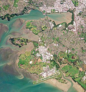 Auckland, New Zealand by Planet Labs (cropped)