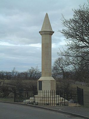 Battle of Falkirk monument - geograph.org.uk - 150466.jpg