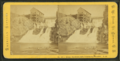 Below Good Rich Falls, looking up, Bartlett, N.H, by Pease, N. W. (Nathan W.), 1836-1918