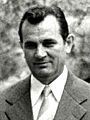 Branislav Ikonić