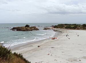 BrightonNZ1