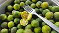 Calamansi (Philippines)