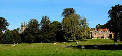 Chawton house, church and sheep